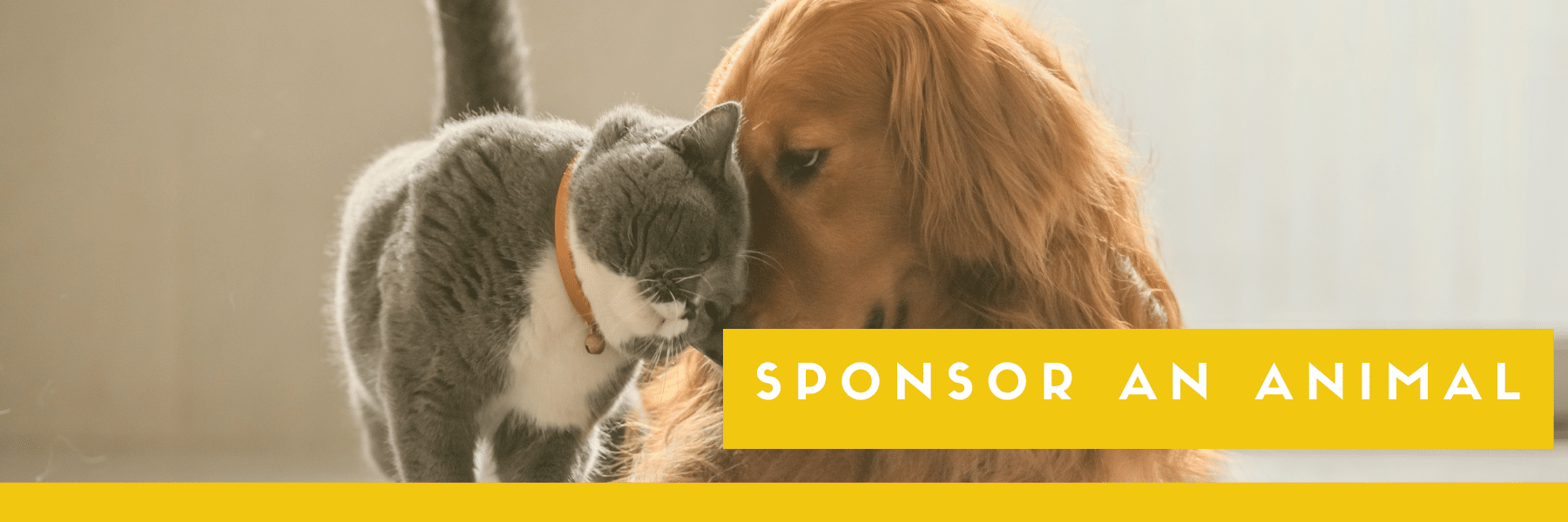 Sponsor an Animal – West Valley Humane Society