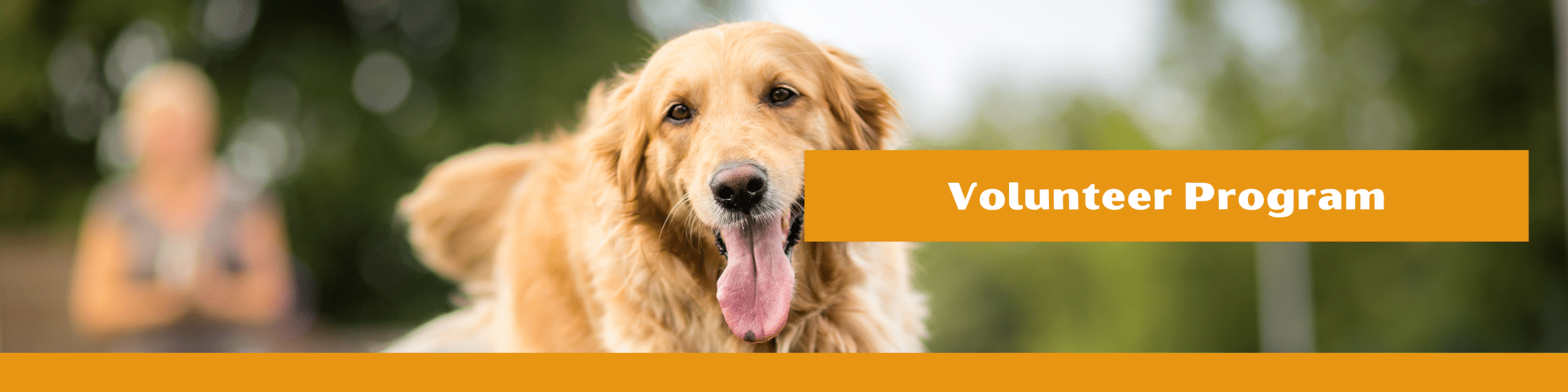 WVHS Volunteers – West Valley Humane Society